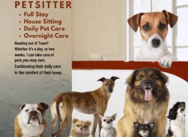 Petsitting and home care
