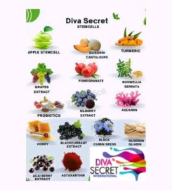 Diva Secret International