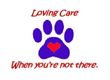 Petsitting and home care