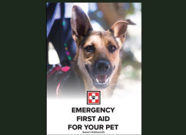 First Aid for Dogs
