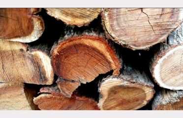 Mother City Firewood