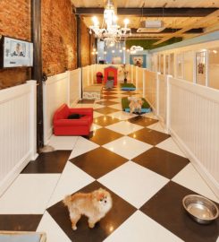 AtFrits Dog Hotel & Daycare Centre