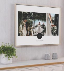 Qphoto Picture Perfect